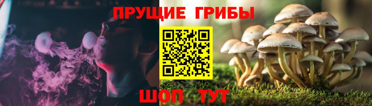 где можно купить наркотик  Псилоцибиновые грибы мухоморы  Псилоцибиновые грибы мицелий  Вход с VPN  Азов 